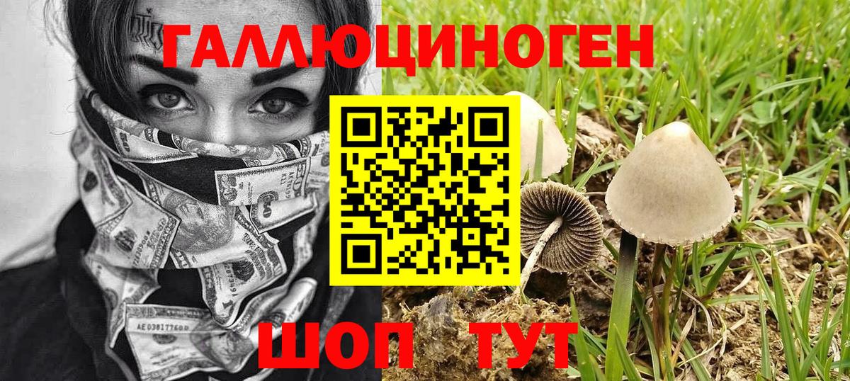 Урай  Псилоцибиновые грибы прущие грибы  Вход с VPN 